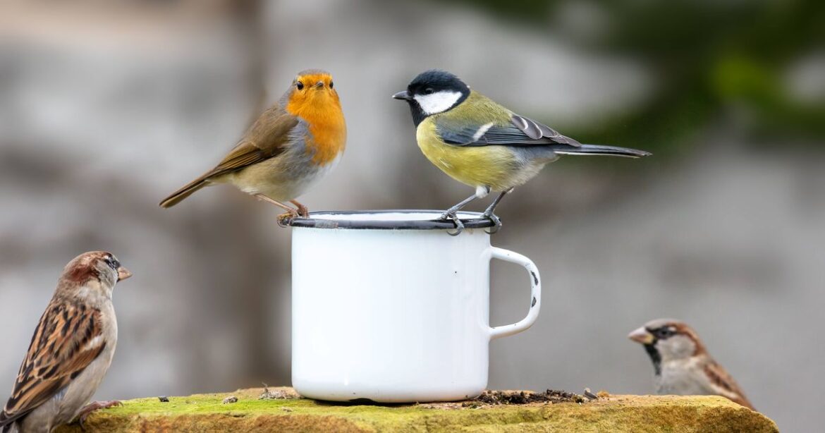 Gloucestershire Live