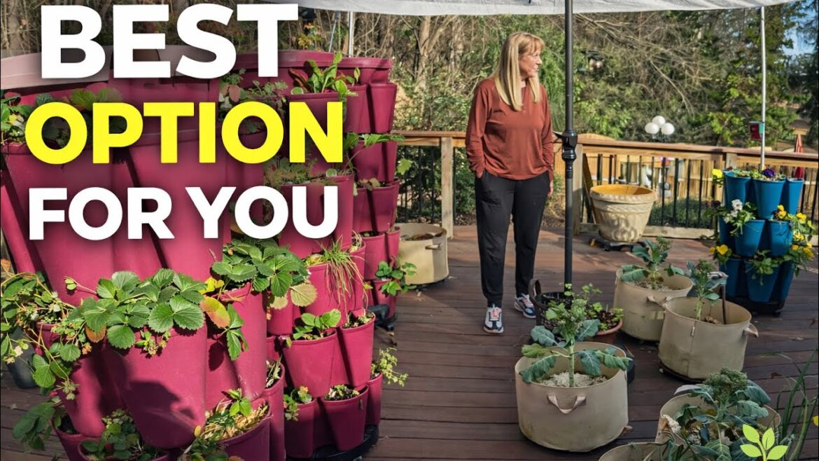Why Vertical & Container Gardening Is the BEST Option for You Why Vertical & Container Gardening Is the BEST Option for You