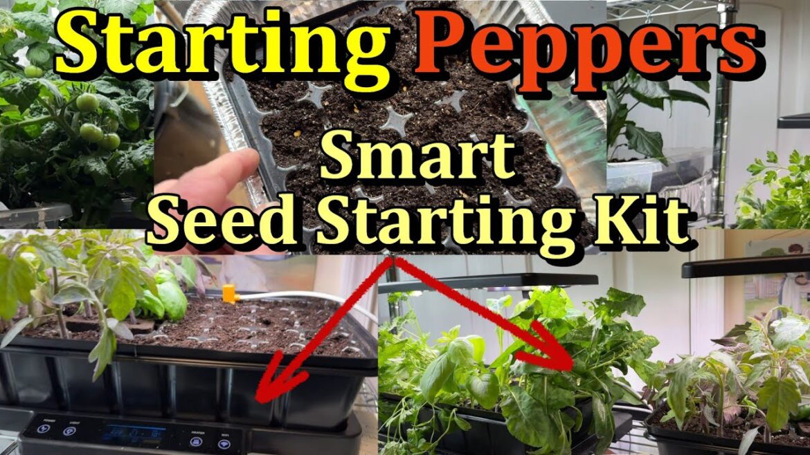 Starting Peppers Indoors Using A Small Grow-Light Kit (LetPot Smart Seed Starter Kit)