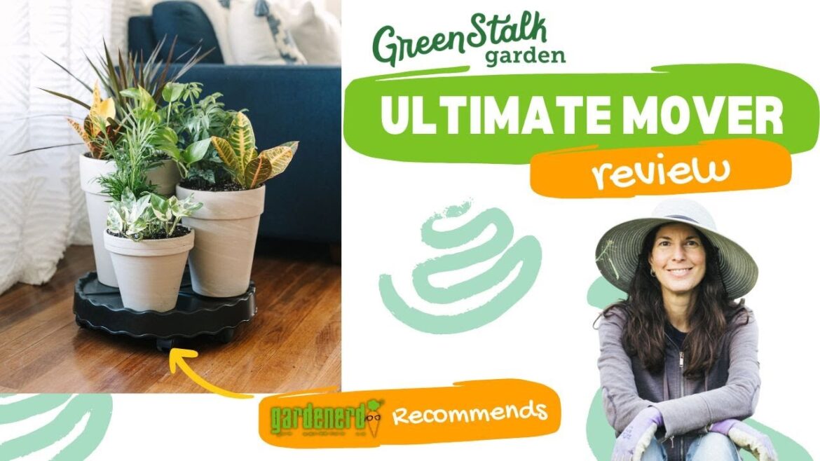 Greenstalk Ultimate Mover Review - Great for Indoor or Patio Container Gardening