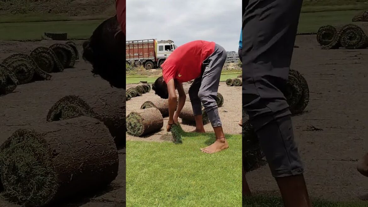 Sod Cutter Machine in Pune Maharashtra www.samratsoft.in @SamratsoftLawn #LawnMachine Sod Cutter Machine in Pune Maharashtra www.samratsoft.in @SamratsoftLawn #LawnMachine