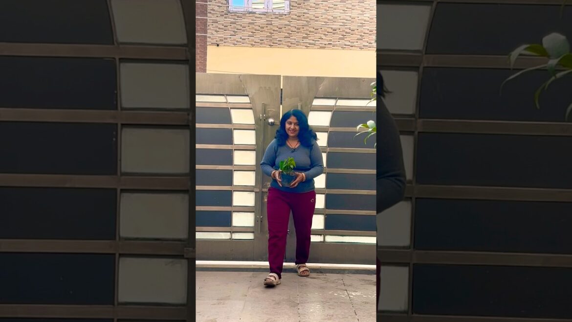 #home #homegardening #gardening #plants #garden #flowers #planting #gardeningtips #gardeningideas