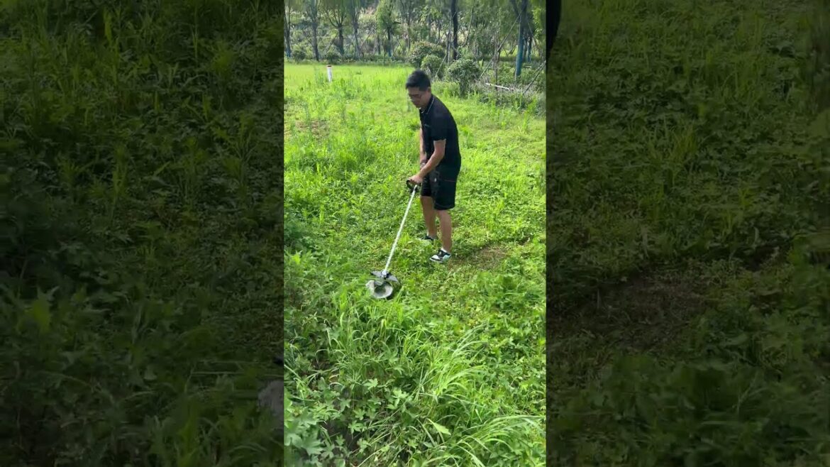 SUCA SC-6201 high Power Cordless String Trimmer Portable 40V Lithium Lawn Mower