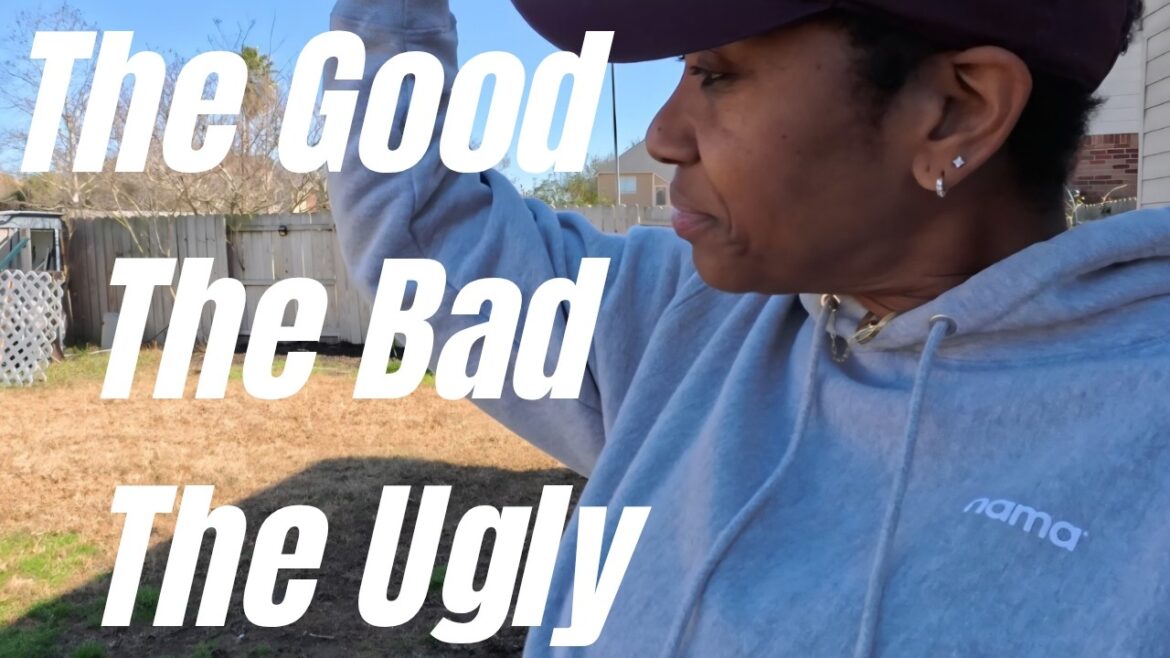 Truth About My Backyard Container Garden