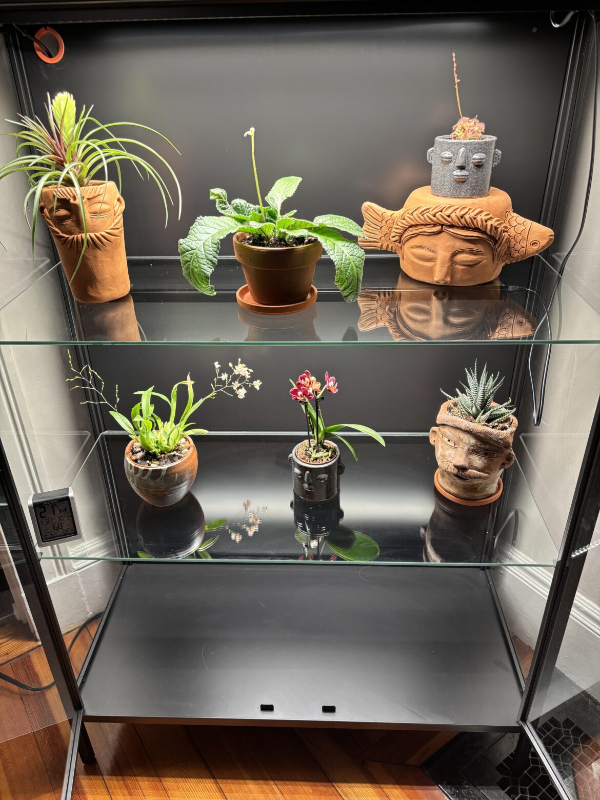 Plant cabinet