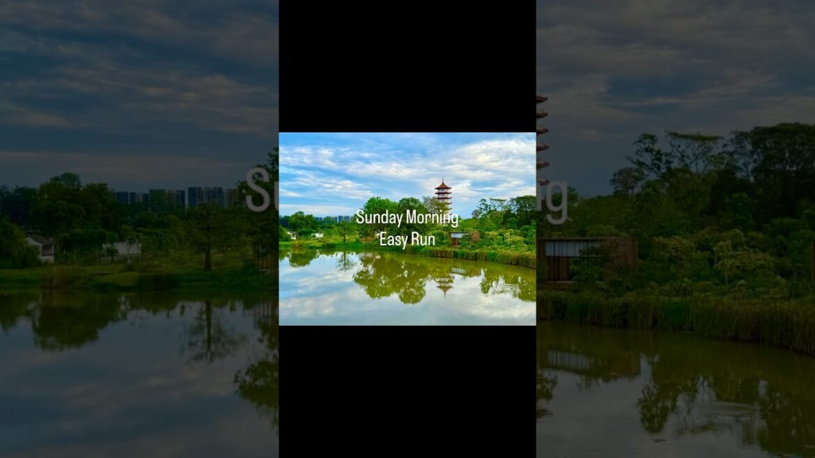 Short run around Chinese & Japanese Garden.  #chinesegardensingapore #japanesegardensingapore