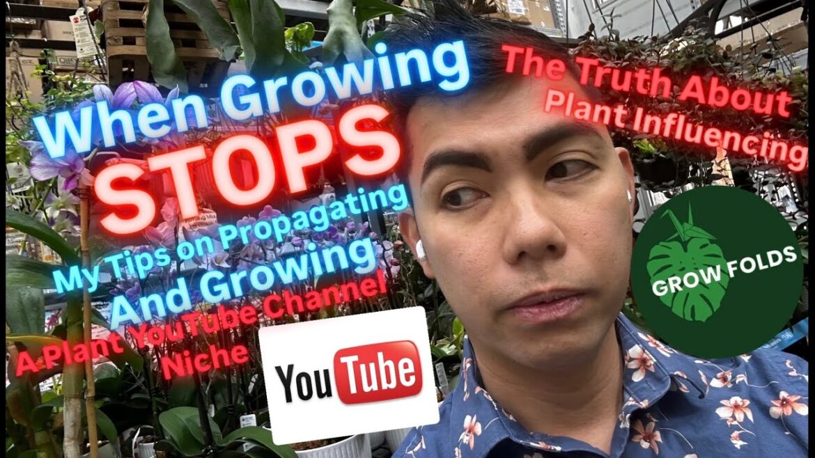 Don't Make the Same Youtube Mistakes I Did How to Propagate and Regrow a Plant Youtube Channel