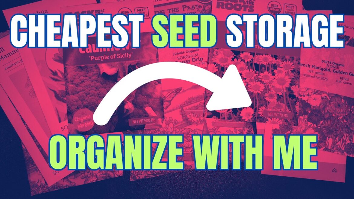 My SEED Collection is OUT OF CONTROL (Part 2) | Container Gardening | Seed Haul #seeds