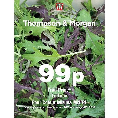 Salad Leaves 'Four Colour Mizuna Mixed' Seeds