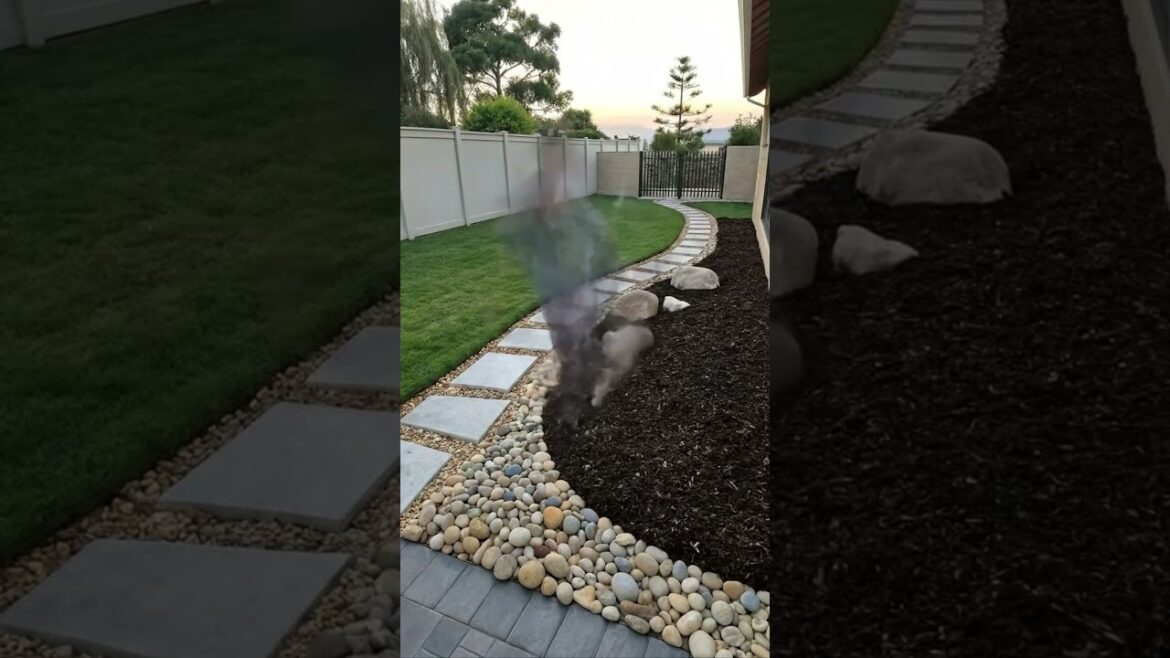 Modern Backyard Landscaping Transformation in Seconds #construction #renovation #interiordesign