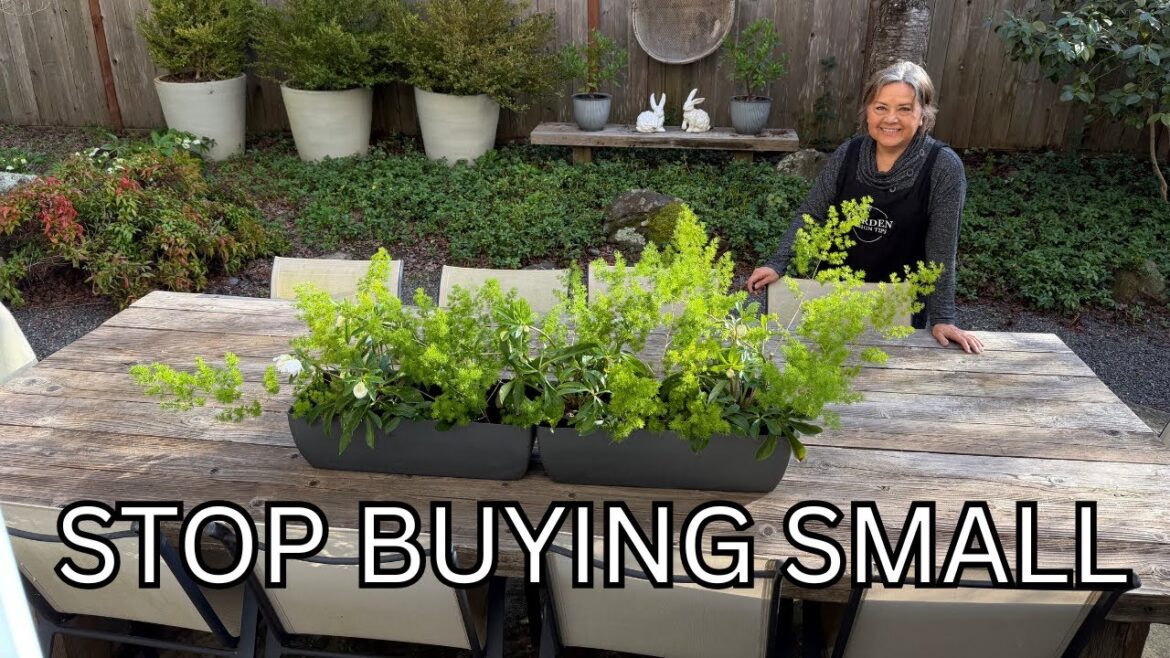 Why I STOPPED Buying Small Decor (And Use THESE 3 Instead)