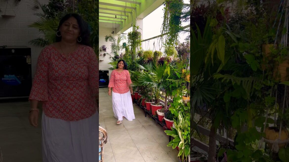 #gardenplants #garden #plants #gardening #shorts #youtubeshorts #balcony #gardeningtips#nature
