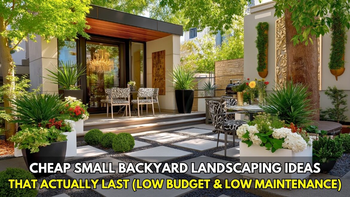 Cheap Small Backyard Landscaping Ideas That Actually Last (Low Budget & Low Maintenance)