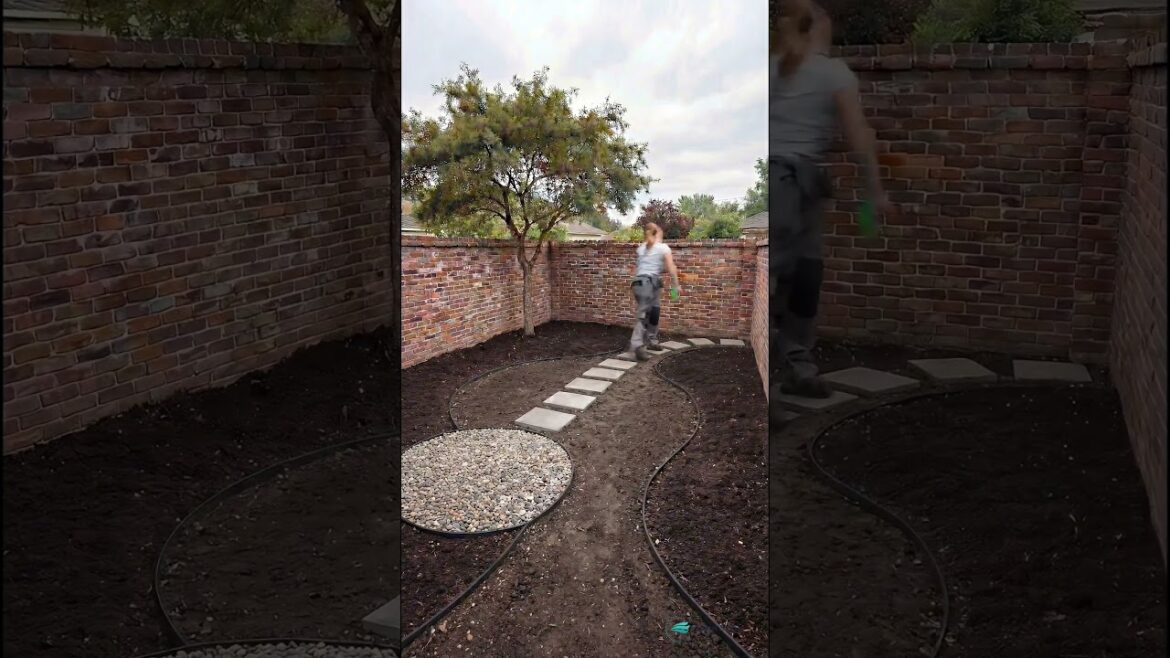 Eurus Studio: A Garden Made for Morning Coffee ☕| Timelapse Eurus Studio: A Garden Made for Morning Coffee ☕| Timelapse