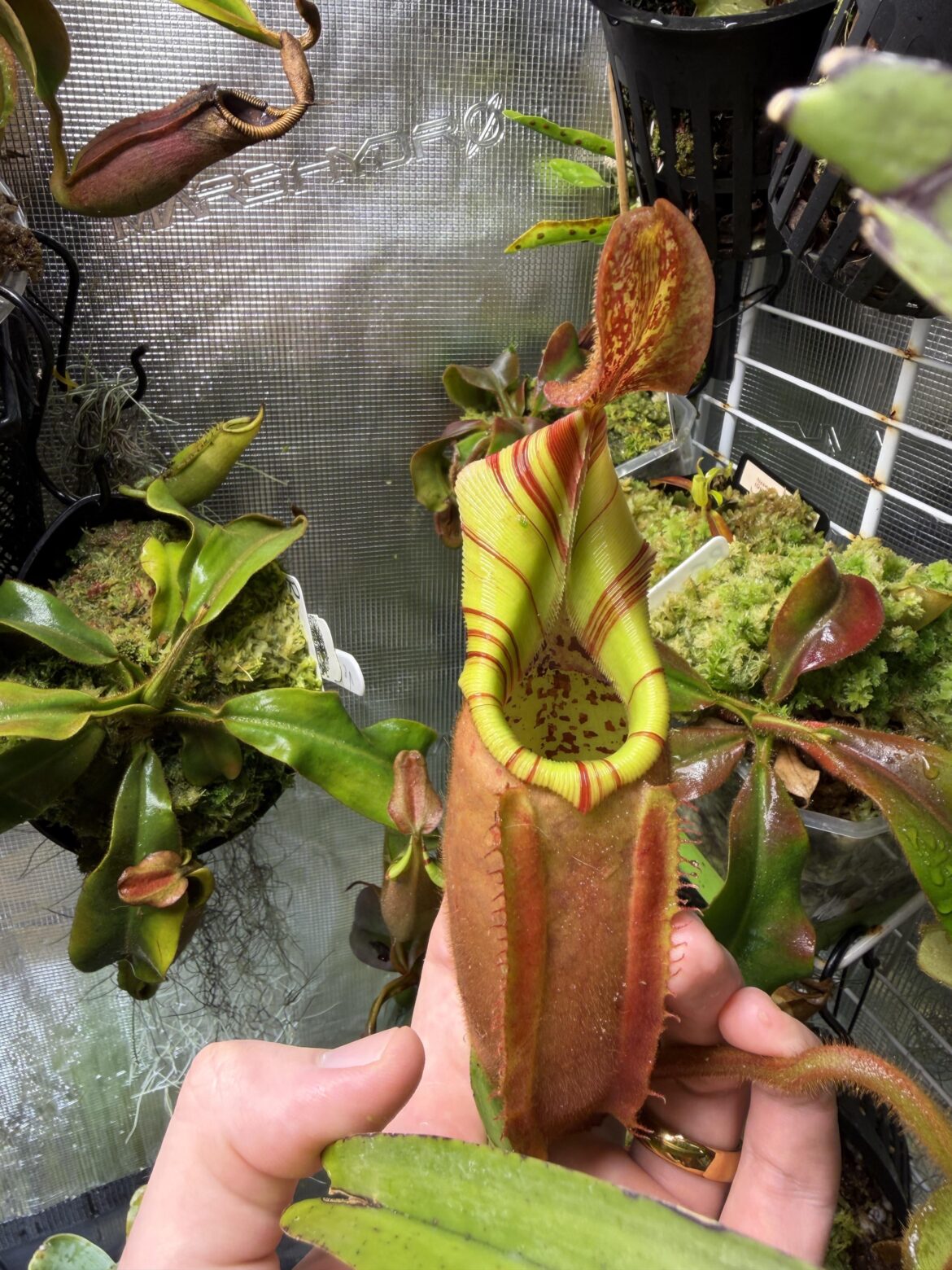 Grid for the bottom of 1020 trays