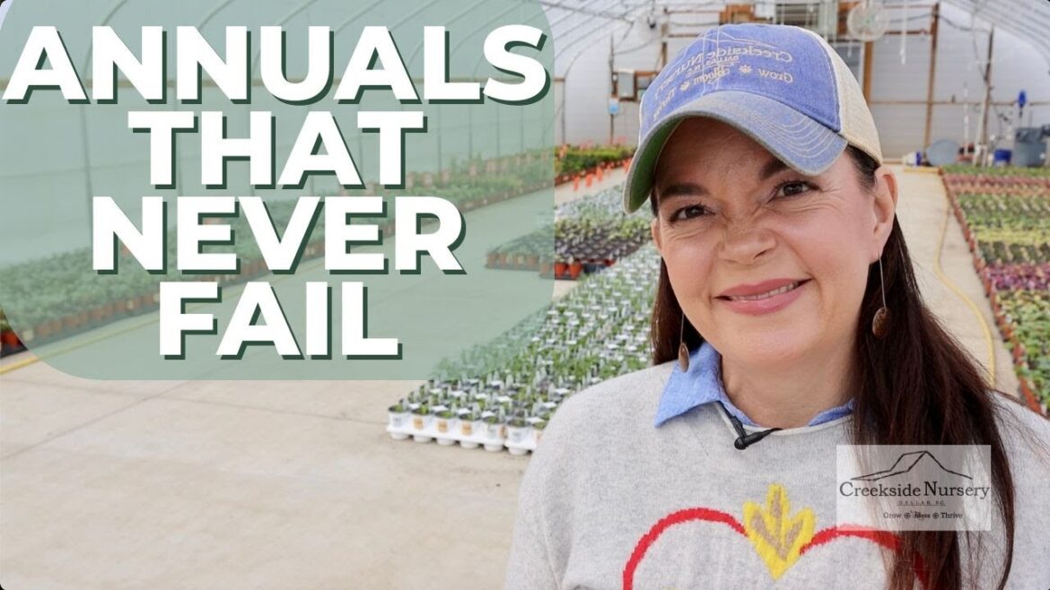 My Go-To Annuals for Guaranteed Garden Success