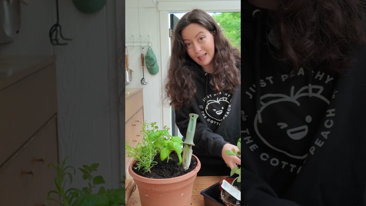 DIY container herb garden #containergardening #containergarden #smallgardenideas