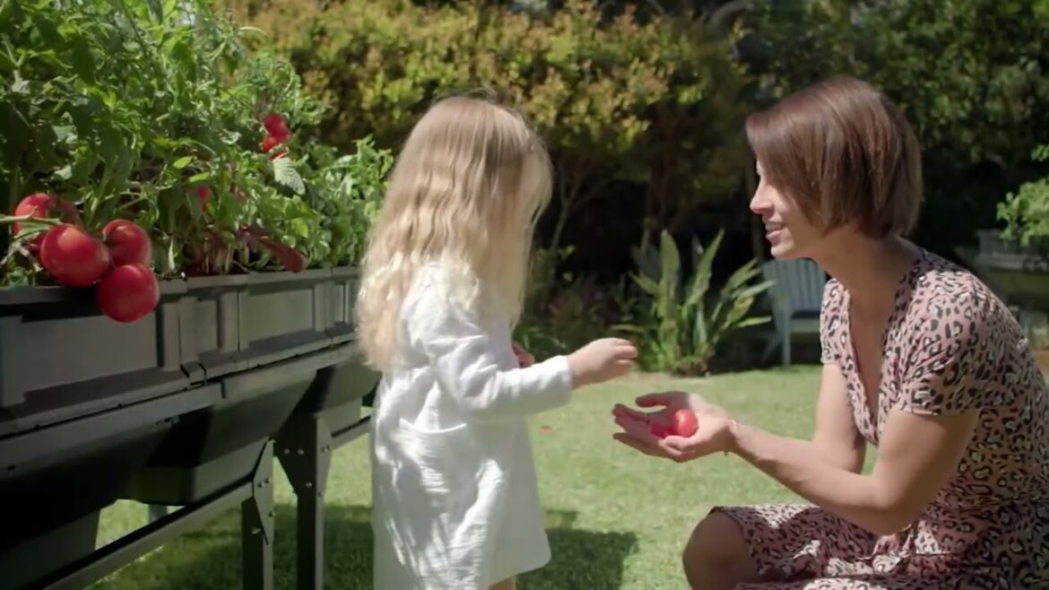 Vegepod Self-Watering Small Container Garden with Stand & Cover on QVC