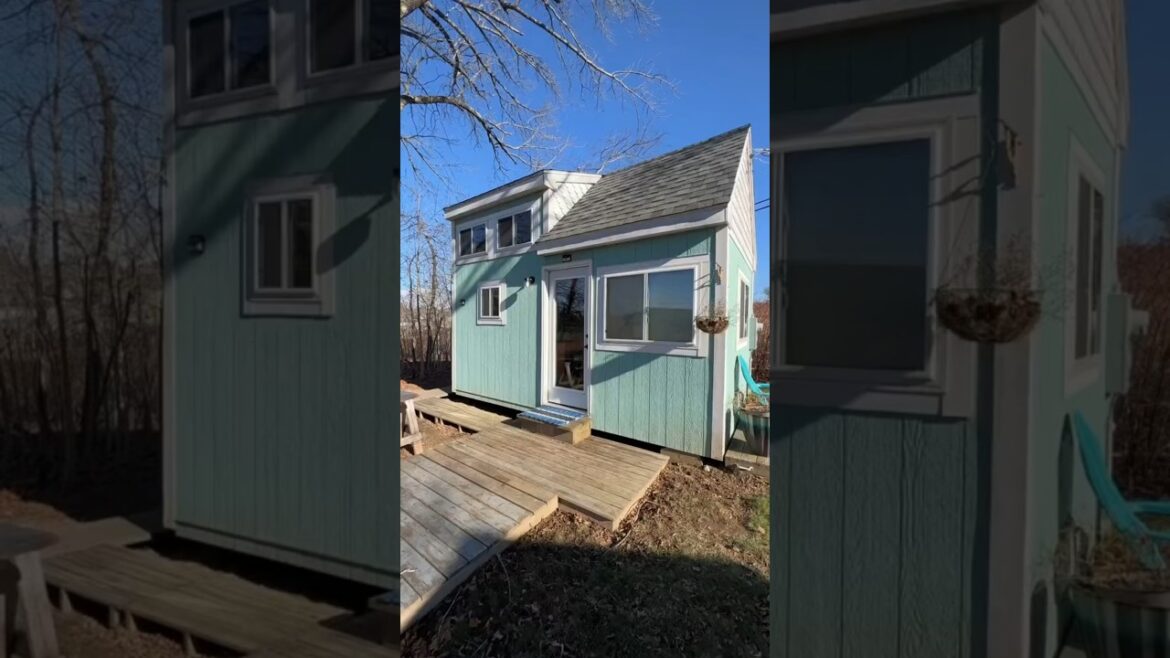 My 18 Year Old Sister’s Tiny House
