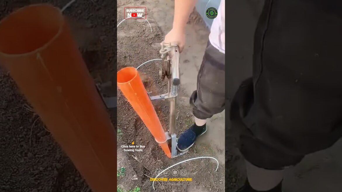 Amazing Vegetable Planting Tool