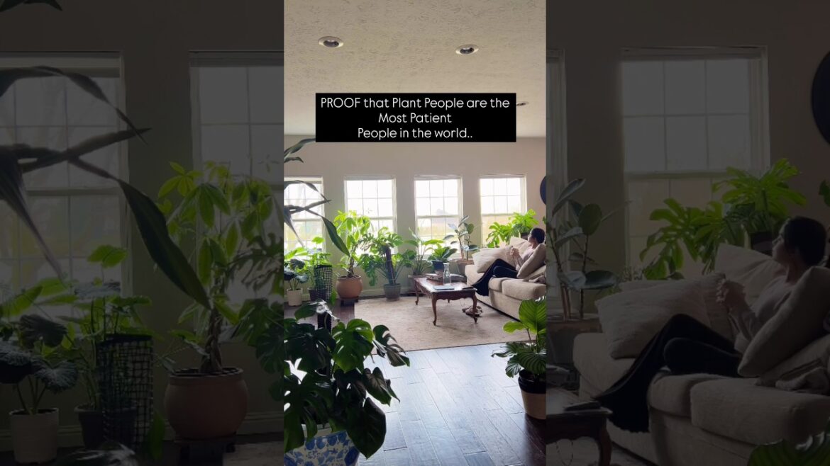 Do you agree?#plants #plantpeople #gardening #gardeningtips #plantlover