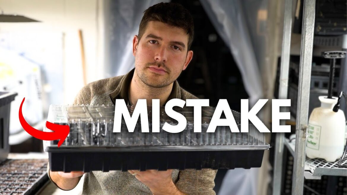 Never Use THIS When Starting Seeds!