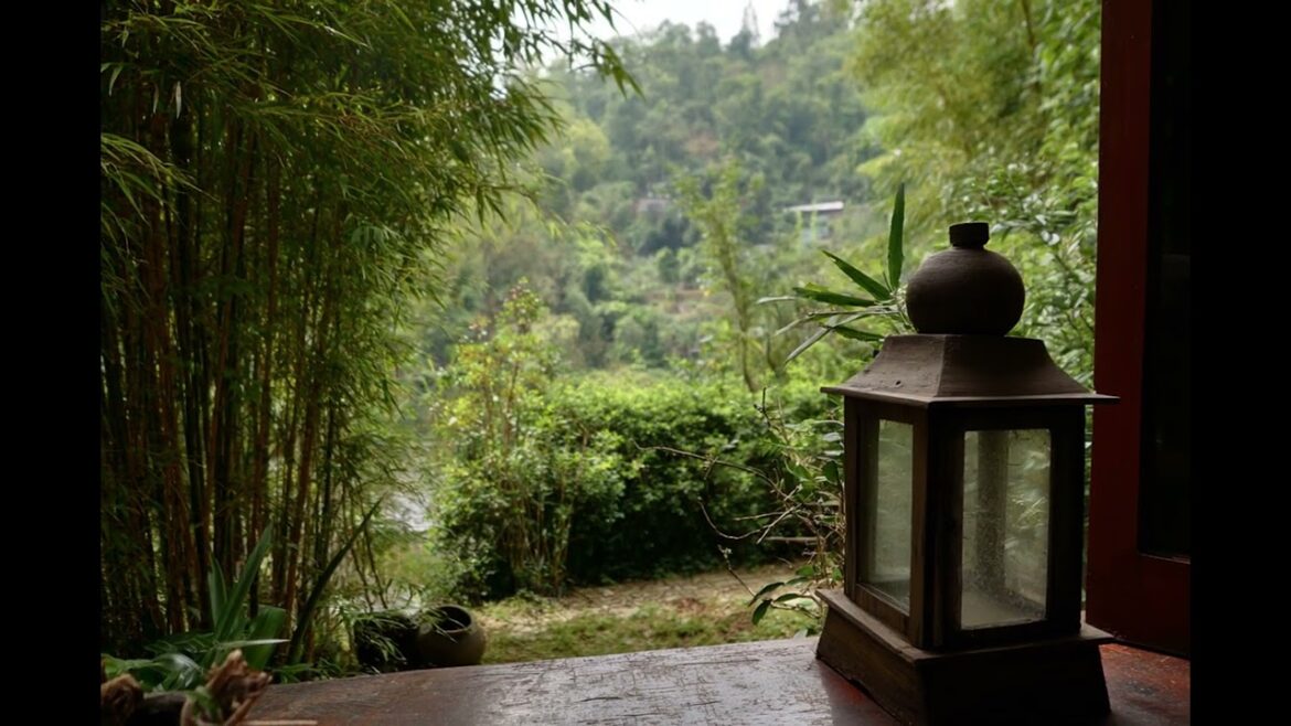 The Art of Shakkei: How Borrowed Scenery Transforms Japanese Garden Design