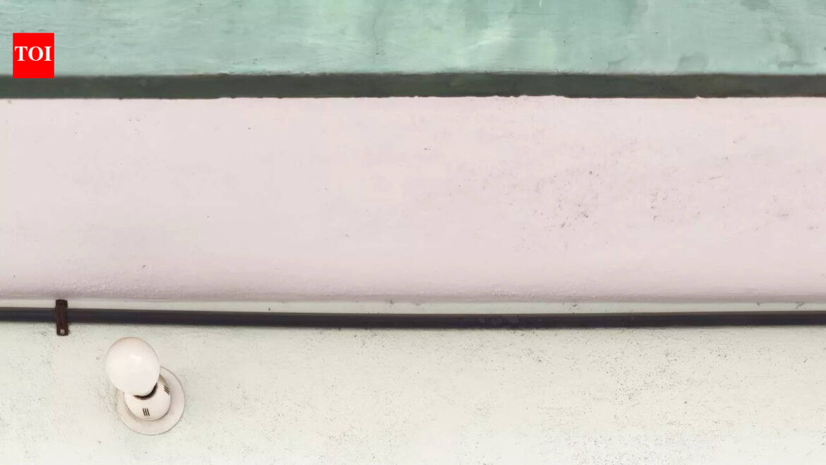 Spring is here: Tulips bring a riot of colour into Anand’s garden | Bengaluru News