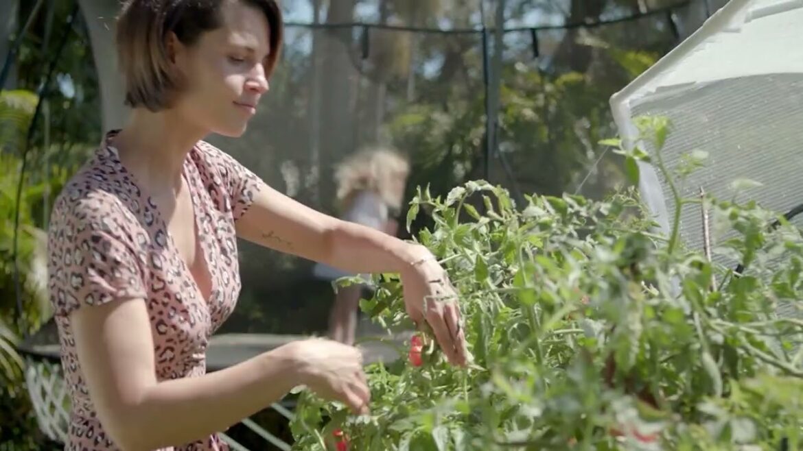 Vegepod Vegebag Self-Watering Container Garden with Zip-off Cover on QVC Vegepod Vegebag Self-Watering Container Garden with Zip-off Cover on QVC