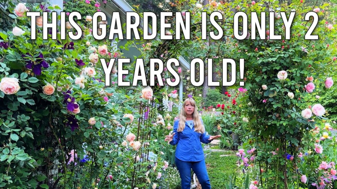 GRAND ROSE GARDEN TOUR! - David Austin Roses, Ramblers, Climbers and Shrubs