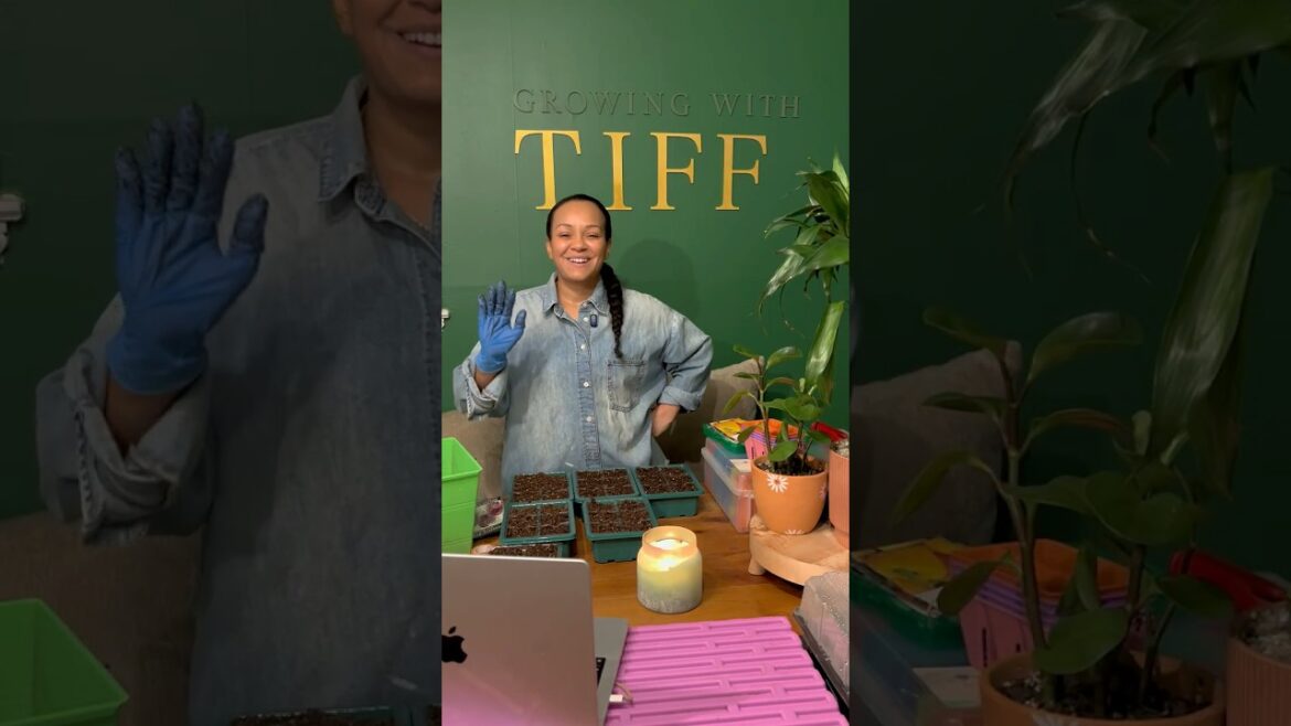 Growing Brussels Sprouts in Zone 7 | Long Game Crop #brusselsprouts  #vegetablegardening