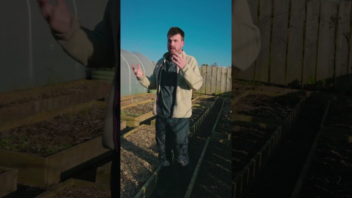 A Positive Attitude for Self-Sufficiency