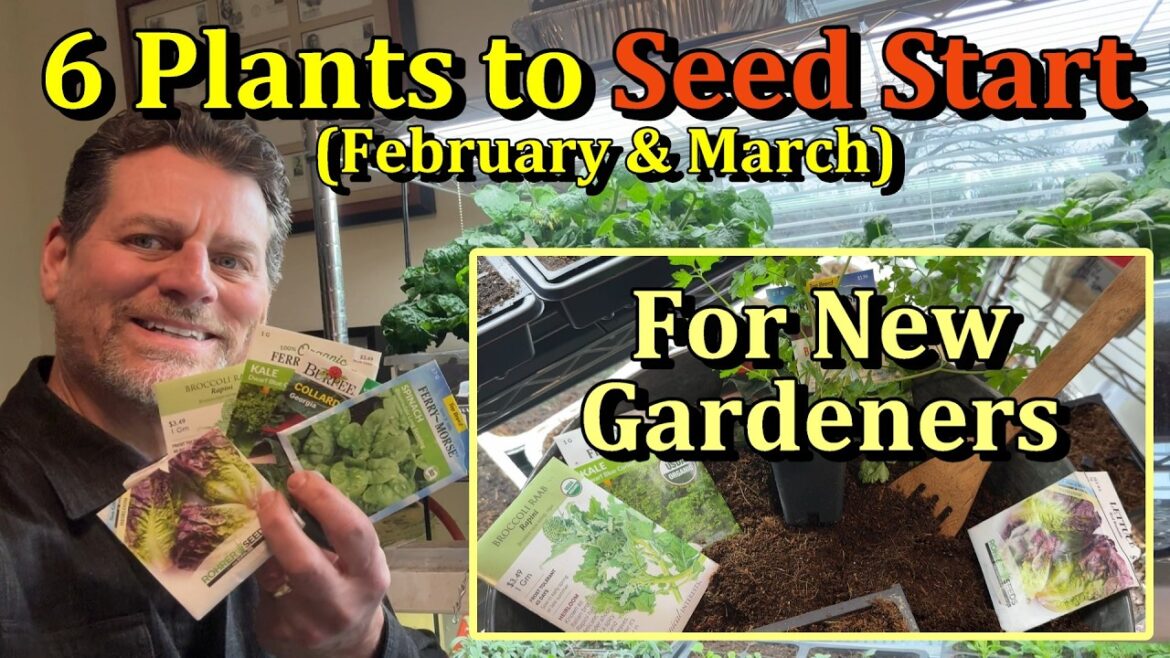 6 Easy Cool Crops to Seed Start Indoors for New Gardeners (February/March)
