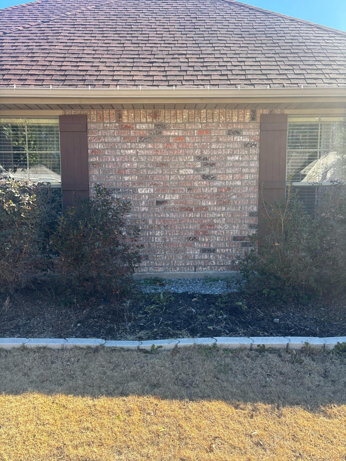 Neighborhood cats using this area as a litter box. Aesthetic solutions?