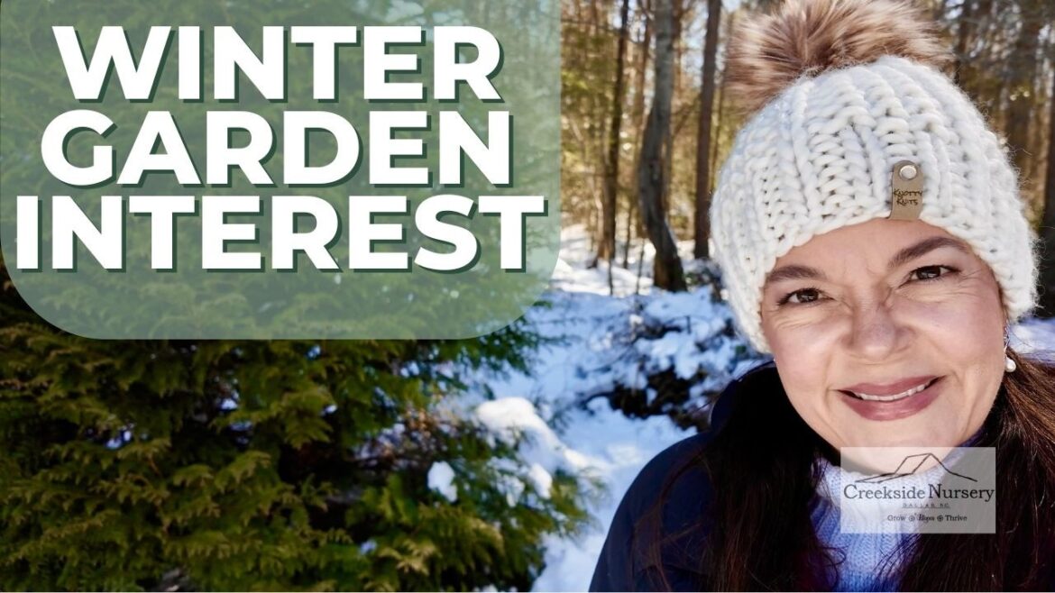 The Best Shrubs for Winter Interest (Color, Texture & Structure)