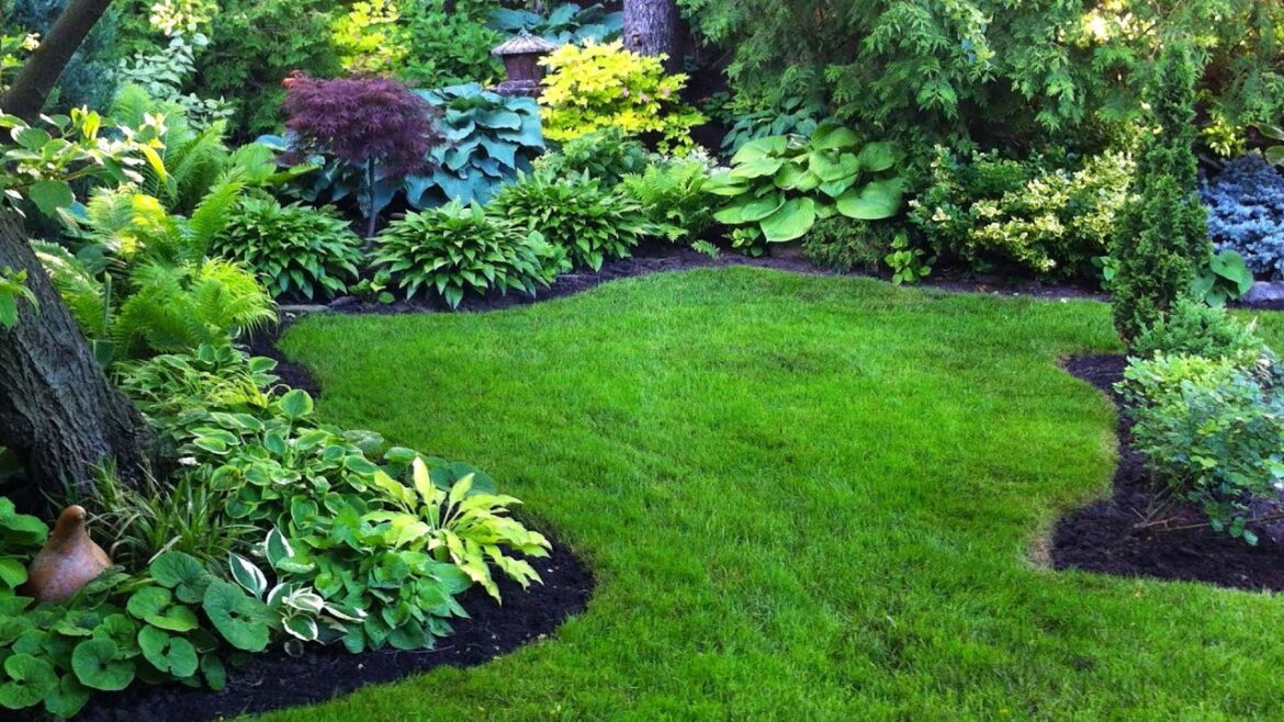 BEAUTIFUL SHADY GARDEN DESIGN IDEAS | BEST PLANTS FOR SHADE GARDEN LANDSCAPE WITH NO DIRECT SUNLIGHT