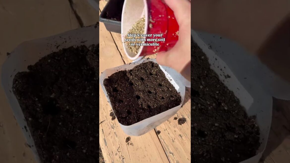 You don’t need fancy pots to grow your own food 👉 Follow us for more easy gardening tips