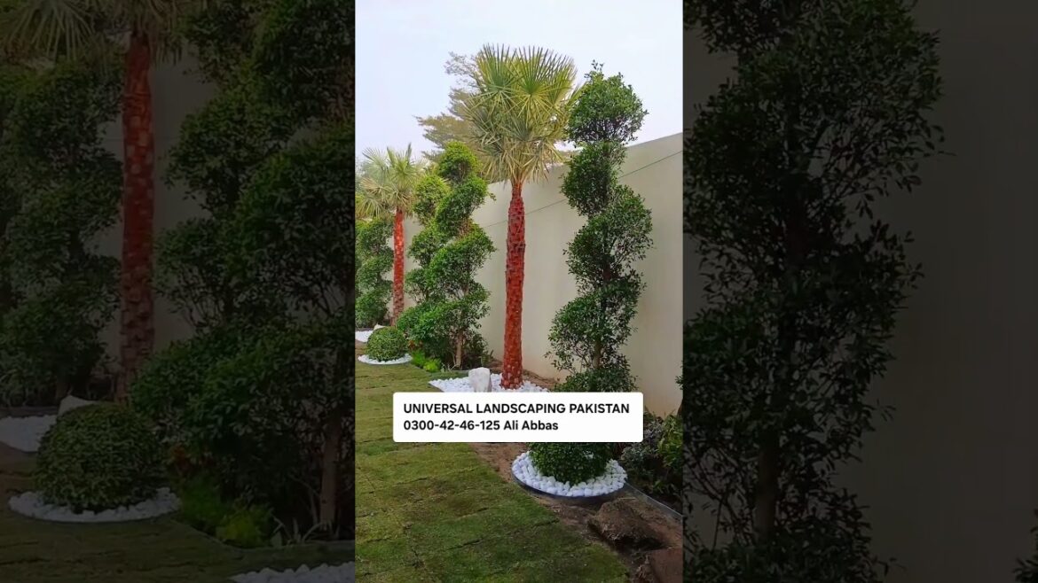 most beautiful front yard Landscaping ideas #pakistan #housenlands 0300-42-46-125 #aliabbasulp