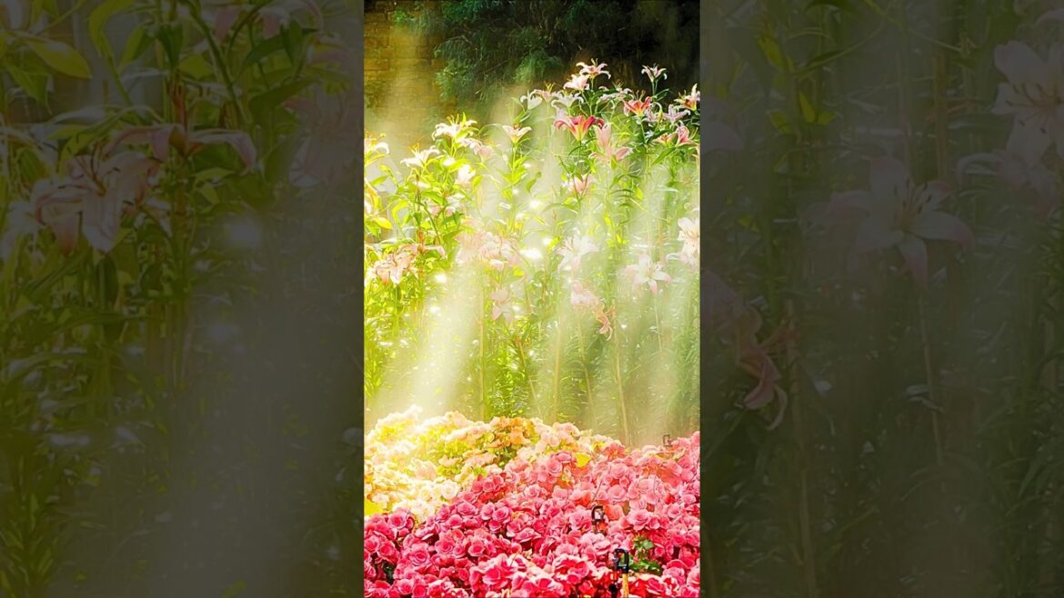 These 3 Garden Trends Are Taking Over This Year!