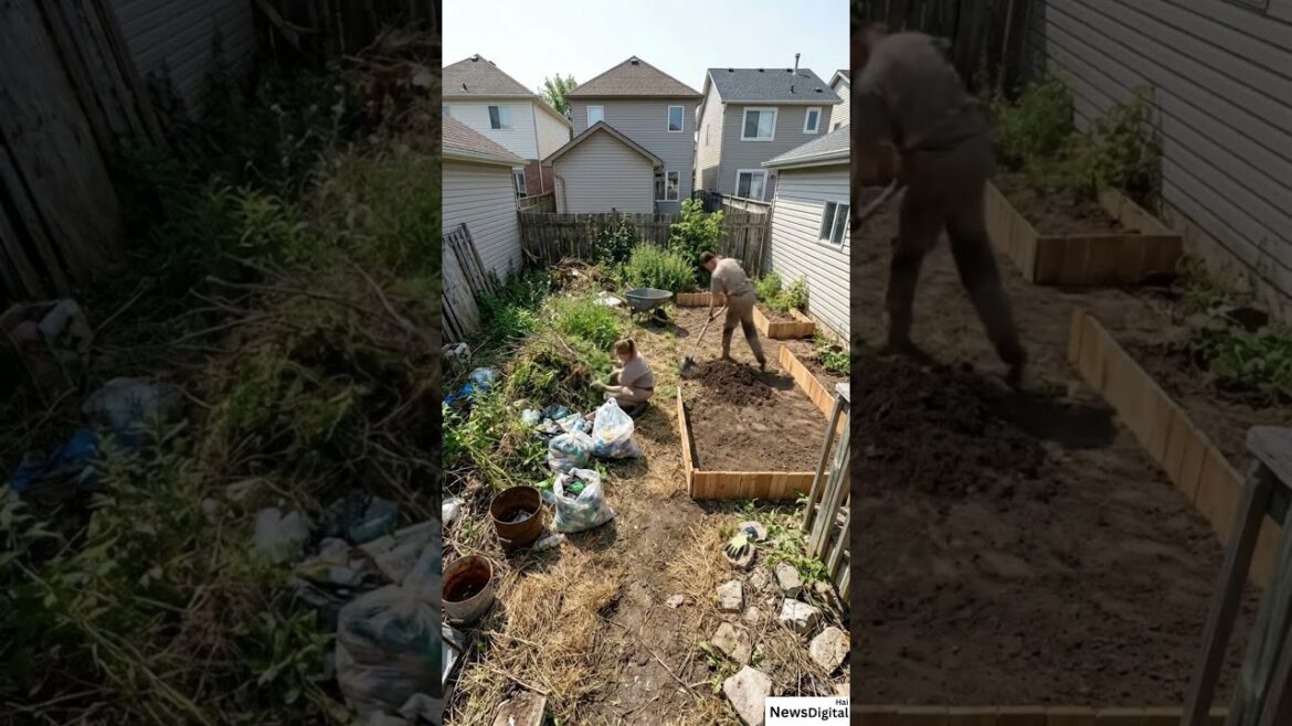 Standard Suburban Lot to High-Yield "Kitchen Garden" 🏡🍅 | +$20k ROI #Shorts