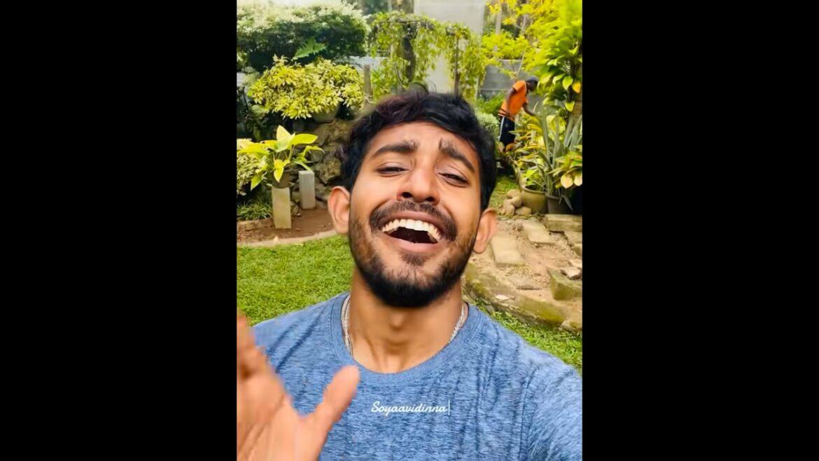 Garden  maintenance  ❤️💚💝 #gardendesign #garden #landscape