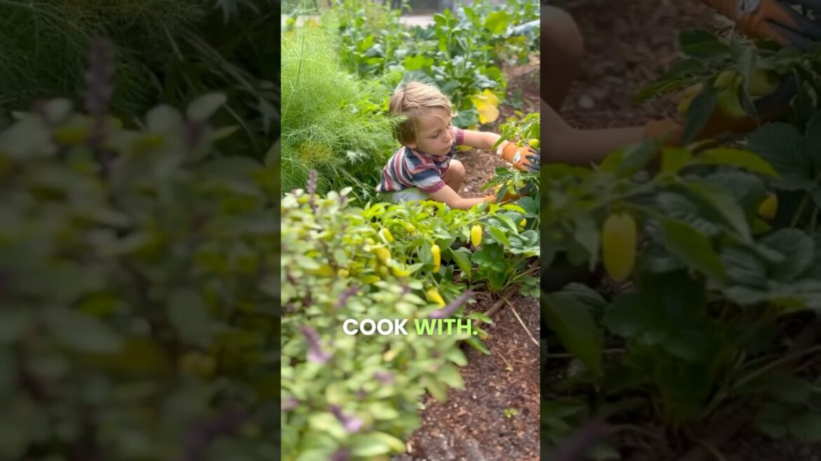 This Is How I’m Preserving Garden Veggies!
