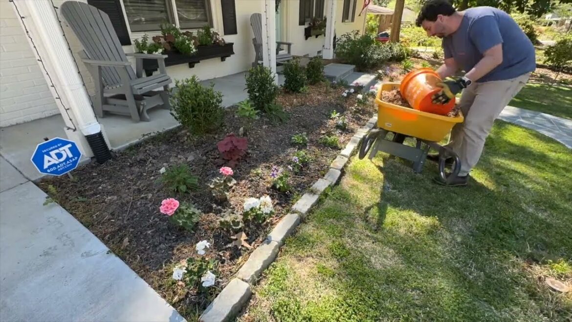 Spring Garden Tour - Marietta, GA, Zone 8a (Front Yard)