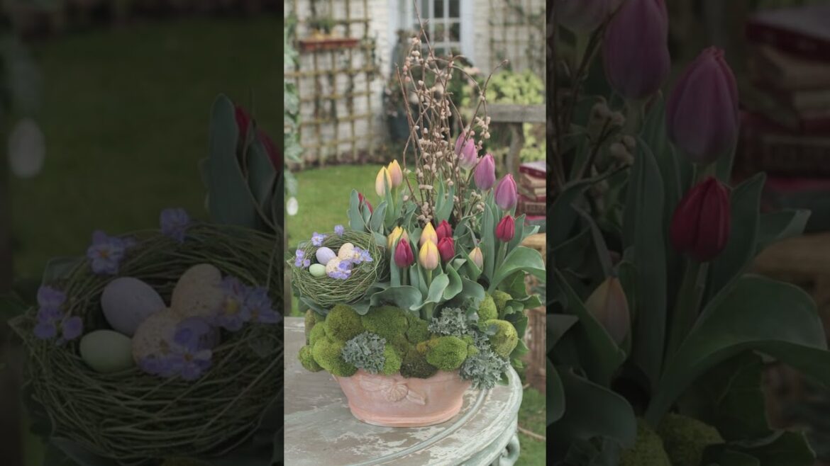 Spring Container Garden Inspiration