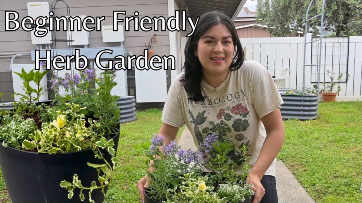 Grow Your Own Herbs at Home (Beginner-Friendly Container Garden)