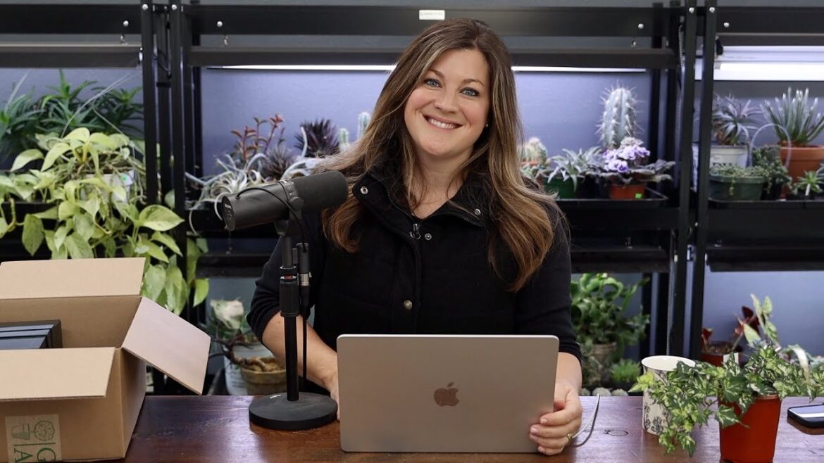 What Evergreen Would Make for Good Cut Greens at Christmas? // Heaters Working on the Sidewalk?