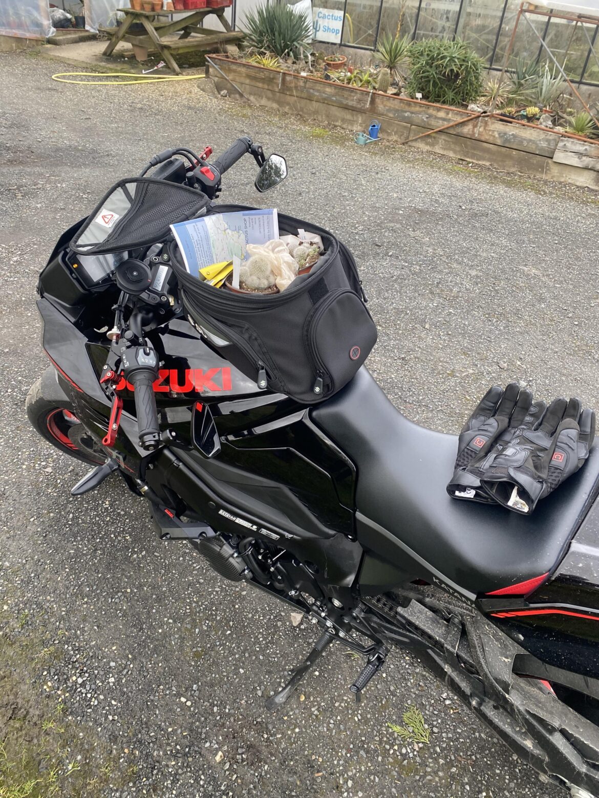 Managed to squeeze in some rebutia’s