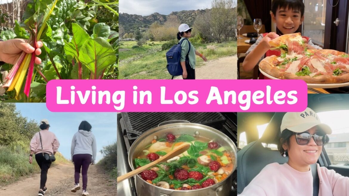 Living in Los Angeles 🇺🇸🇵🇭 Home Garden, Hiking, Grocery Shopping, Cooking & Filipino Life Vlog