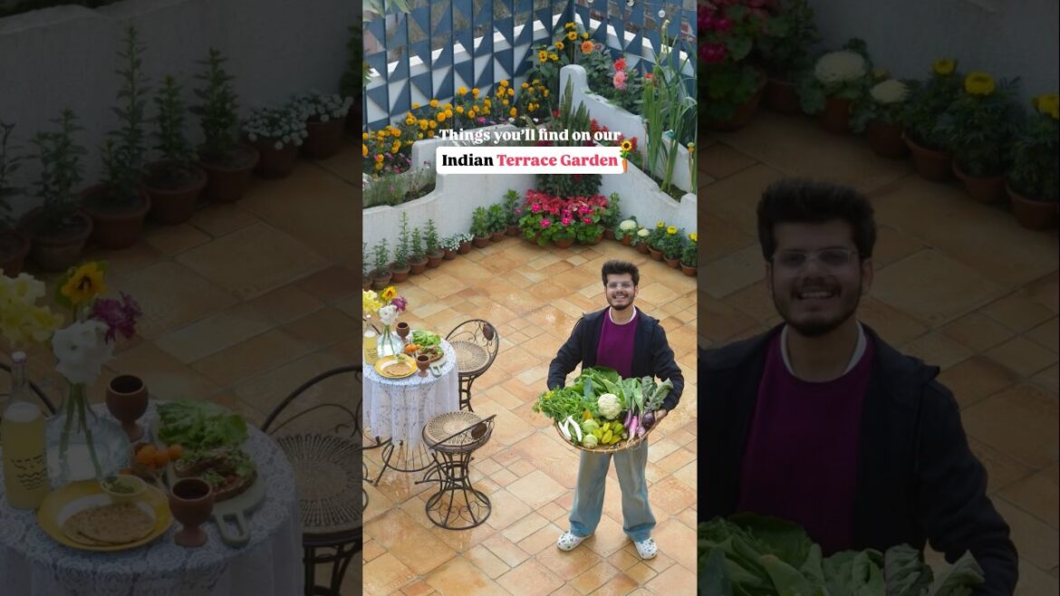 Humara “Dream Garden” Tour 🤩🥹 #terracegarden #farminglife #ytshortsindia Humara “Dream Garden” Tour 🤩🥹 #terracegarden #farminglife #ytshortsindia