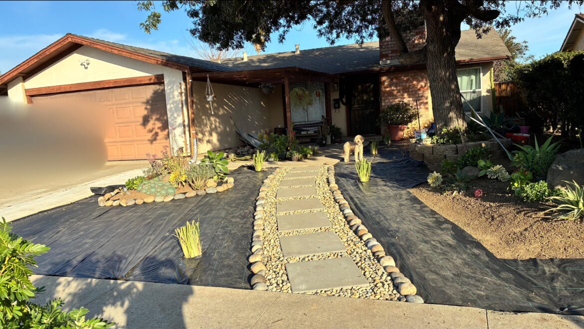 Front Yard Landscaping/Plant Advice. What plants should I add + where? Front Yard Landscaping/Plant Advice. What plants should I add + where?